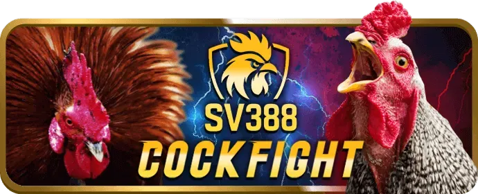 Đá gà trực tuyến mv888 game